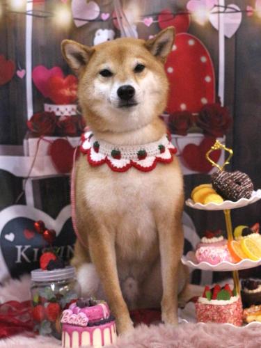 20250219シュウくん